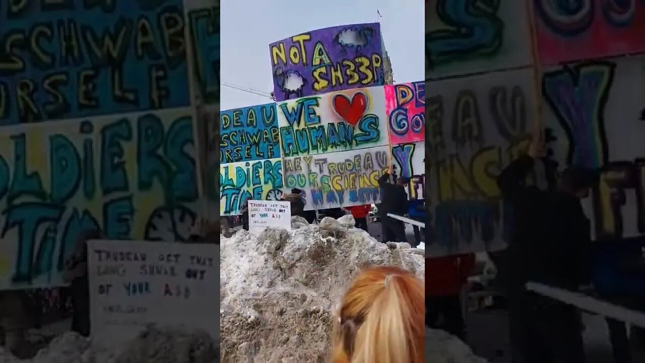 Enormous Freedom Sign At The Ottawa Protest #shorts