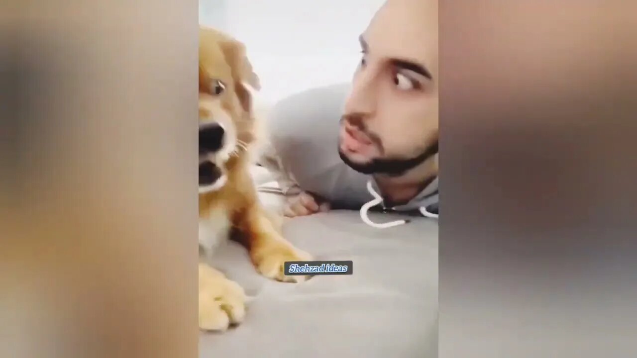 New Funny Videos 2023 Cutest Cats and Dogs part 2