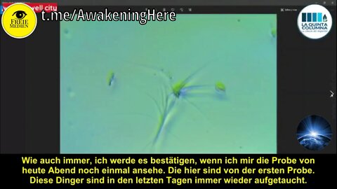 mRNA Inhaltsstoffe COVID Vaccines Pfizer BioNTech