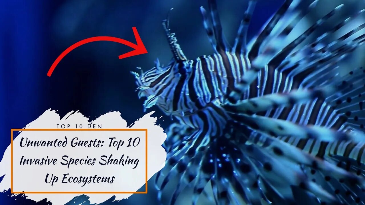 Unwanted Guests: Top 10 Invasive Species Shaking Up Ecosystems