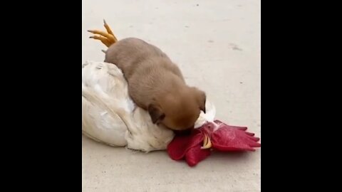 He was dead