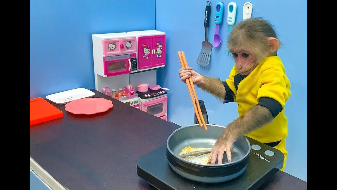 Cute Monkey helps housework