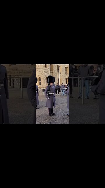 Shuffel in line scots guards #toweroflondon