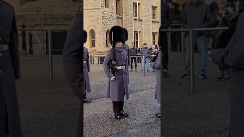 Shuffel in line scots guards #toweroflondon