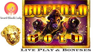 🤠Hunting for Gold Buffalo 🤠🐮 Live Play & Bonuses 🎰