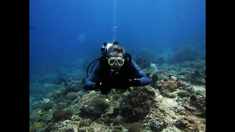 natural beauty scuba diving