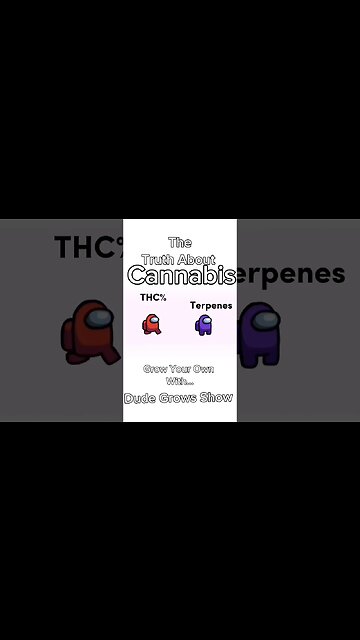 Learn for Free. Subscribe Now!