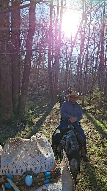 🐎Adios Amigos🐎