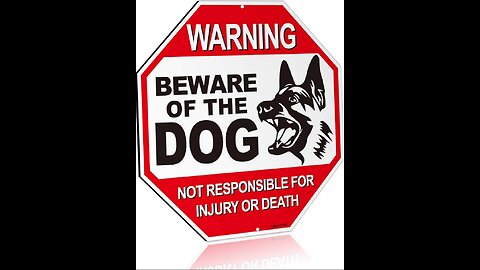 !WARNING! Scary dog video with scary cat noise