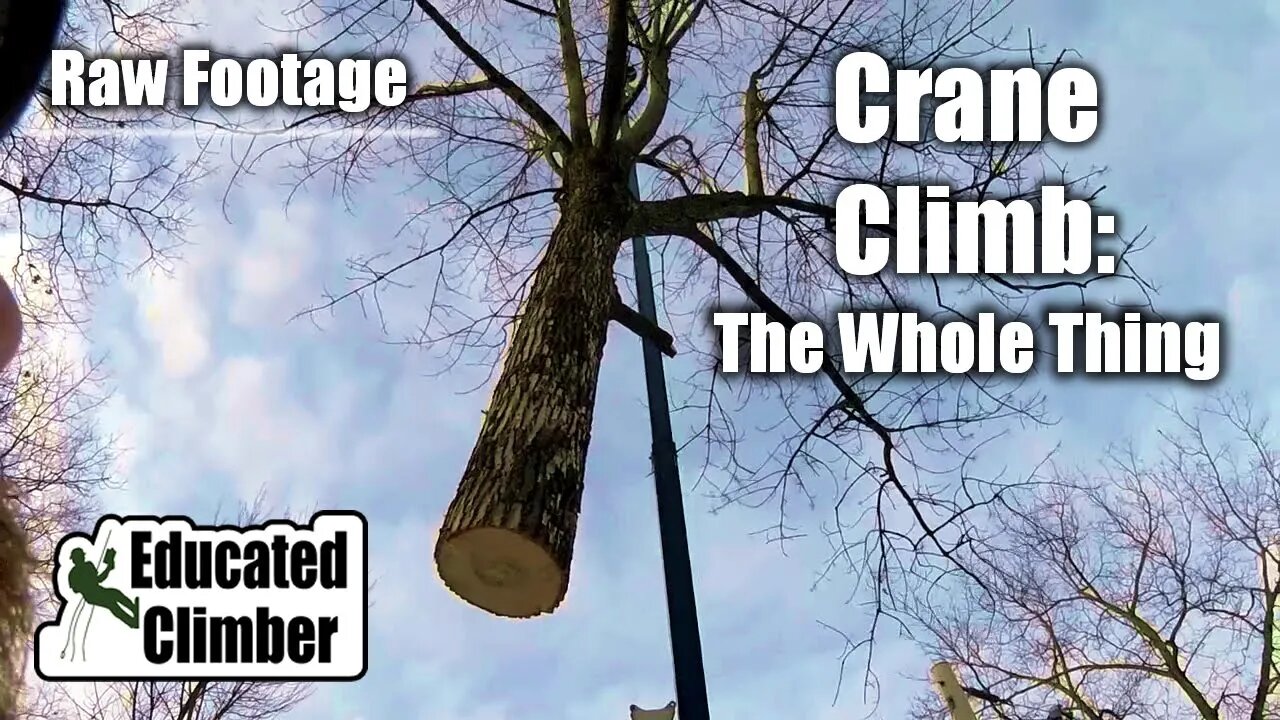 (Raw Footage) Crane Climb - The Whole Thing | Arborist Climbing, Cutting, Rigging, Cranes