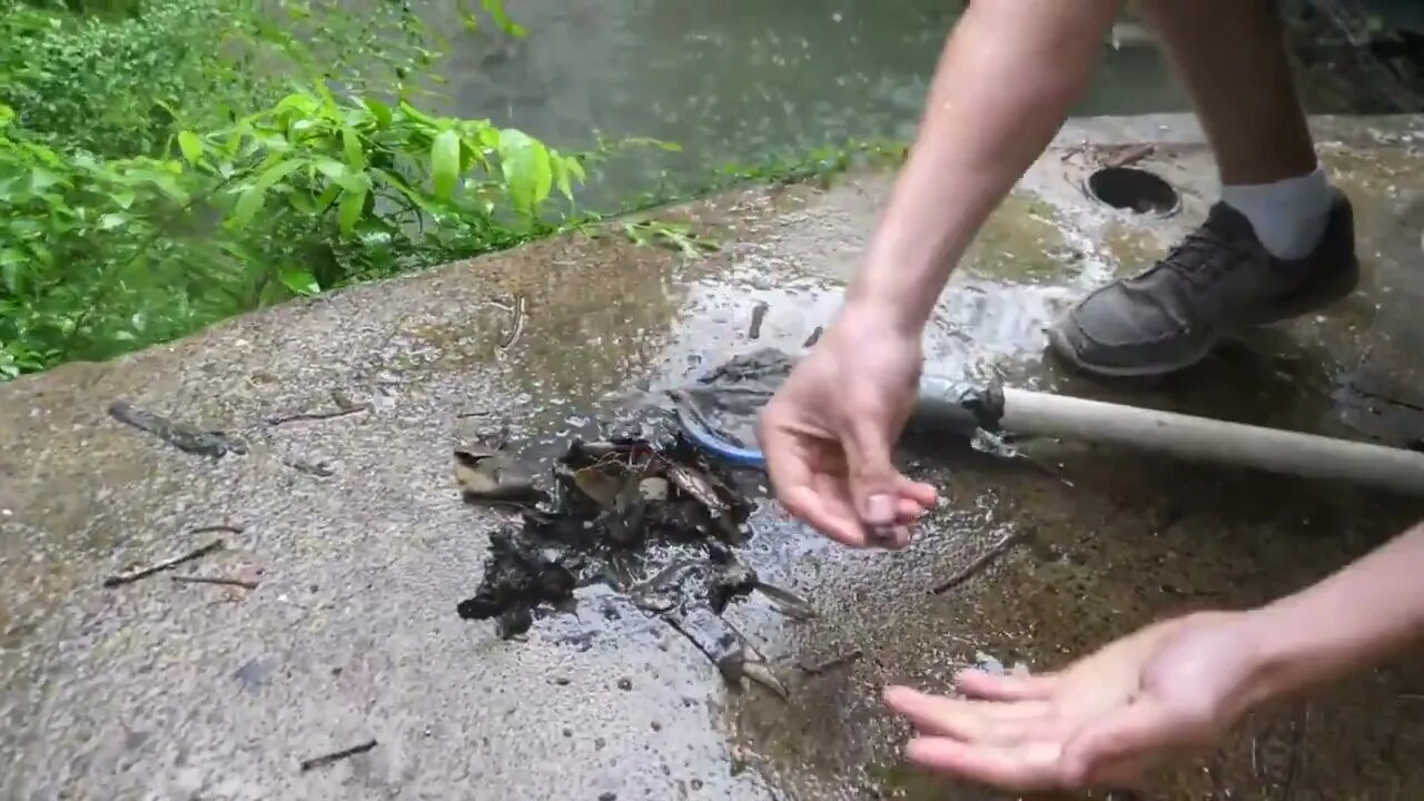 Baby Snapping Turtle vs Crayfish-10