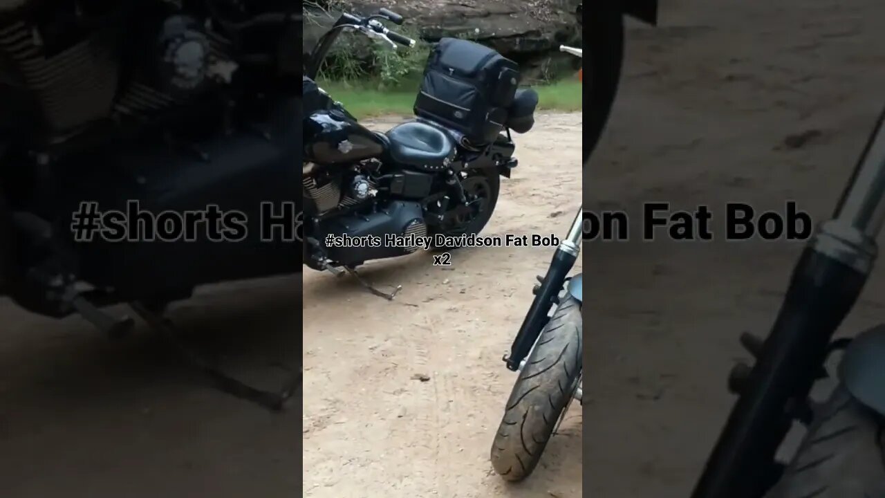 #shorts #harleydavidson #fatbob