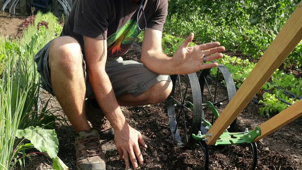 The BEST Weeding and Bed Flip Tool: Hoss Wheel Hoe