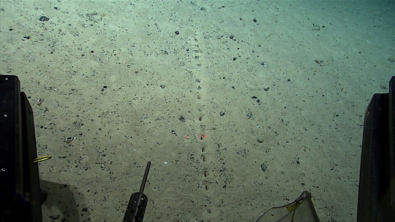 Mysterious Tracks Found on Atlantic Floor