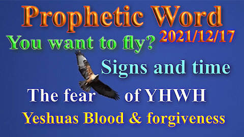 You want to fly? Fear YHWH and gain wisdom! (Prophecy)