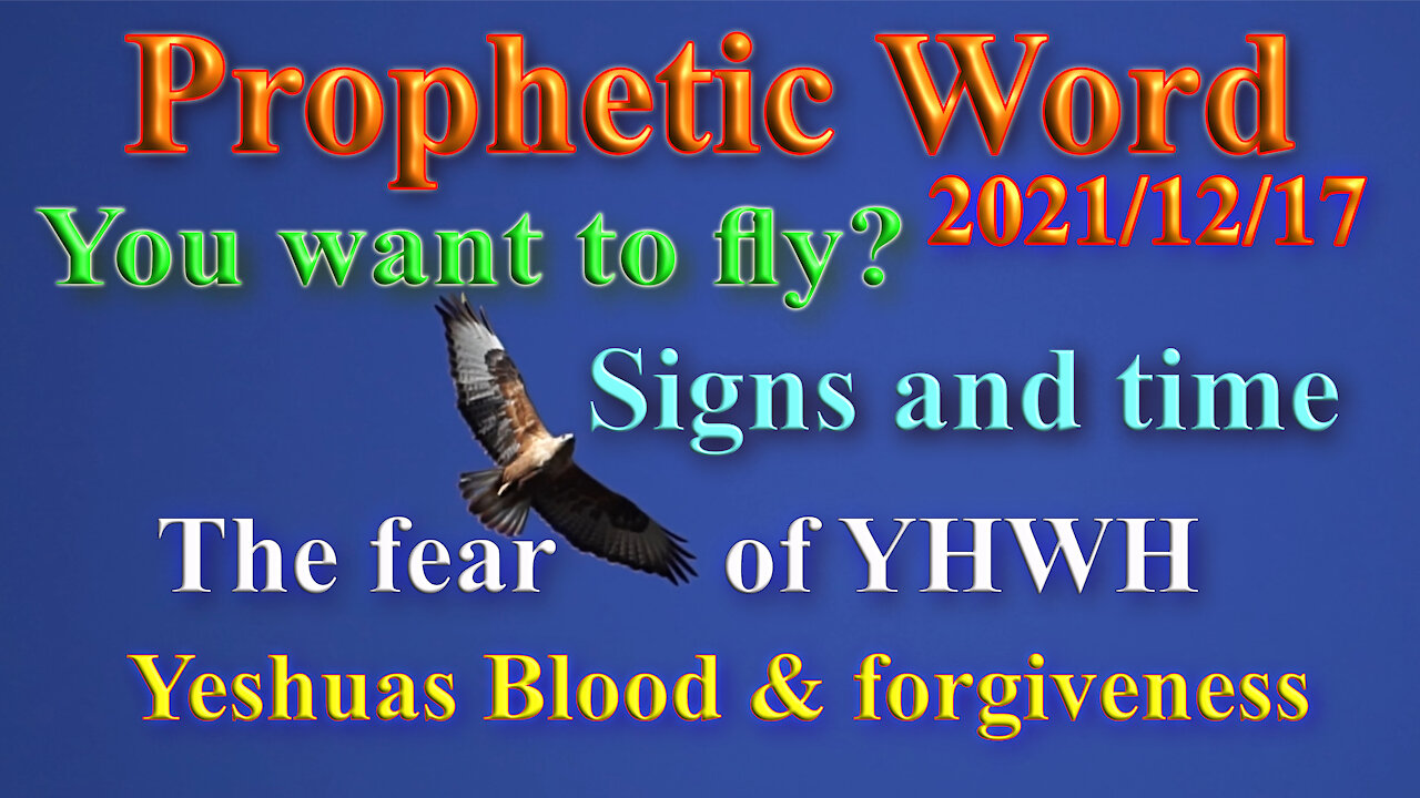 You want to fly? Fear YHWH and gain wisdom! (Prophecy)