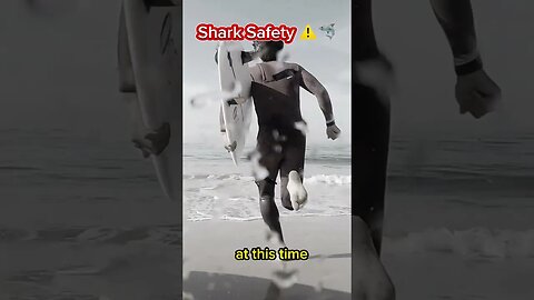 Shark Attacks Are MOST Likely To Occur During THIS Hour Of The Day 🦈