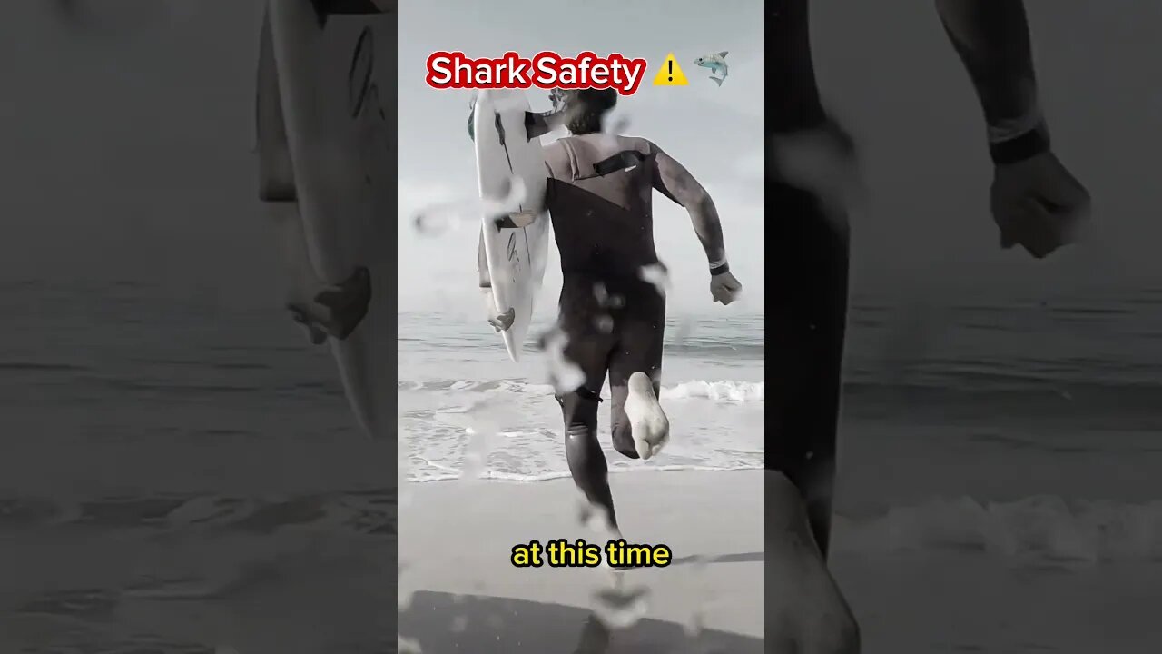 Shark Attacks Are MOST Likely To Occur During THIS Hour Of The Day 🦈