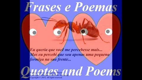 Queria que você me percebesse mais, sou uma pequena formiga [Frases e Poemas]