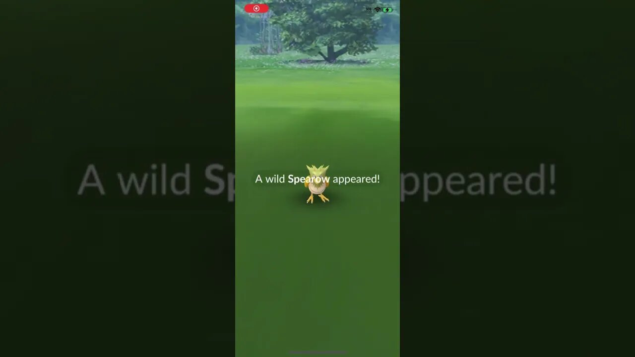 Shiny Spearow