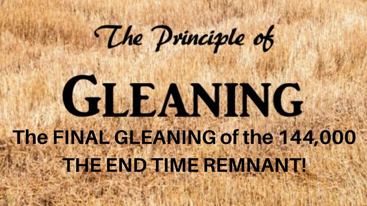 The FINAL GLEANING by the LORD! Spoken words...prophetic WARNINGS!