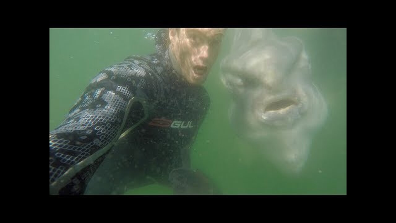 Crazy selfie with a MONSTER from the deep sea