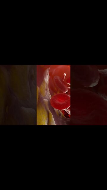 The Importance Of 𝗛𝗲𝗮𝗹𝘁𝗵𝘆 𝗕𝗹𝗼𝗼𝗱 𝗙𝗹𝗼𝘄 𝗔𝗻𝗱 𝗖𝗶𝗿𝗰𝘂𝗹𝗮𝘁𝗶𝗼𝗻