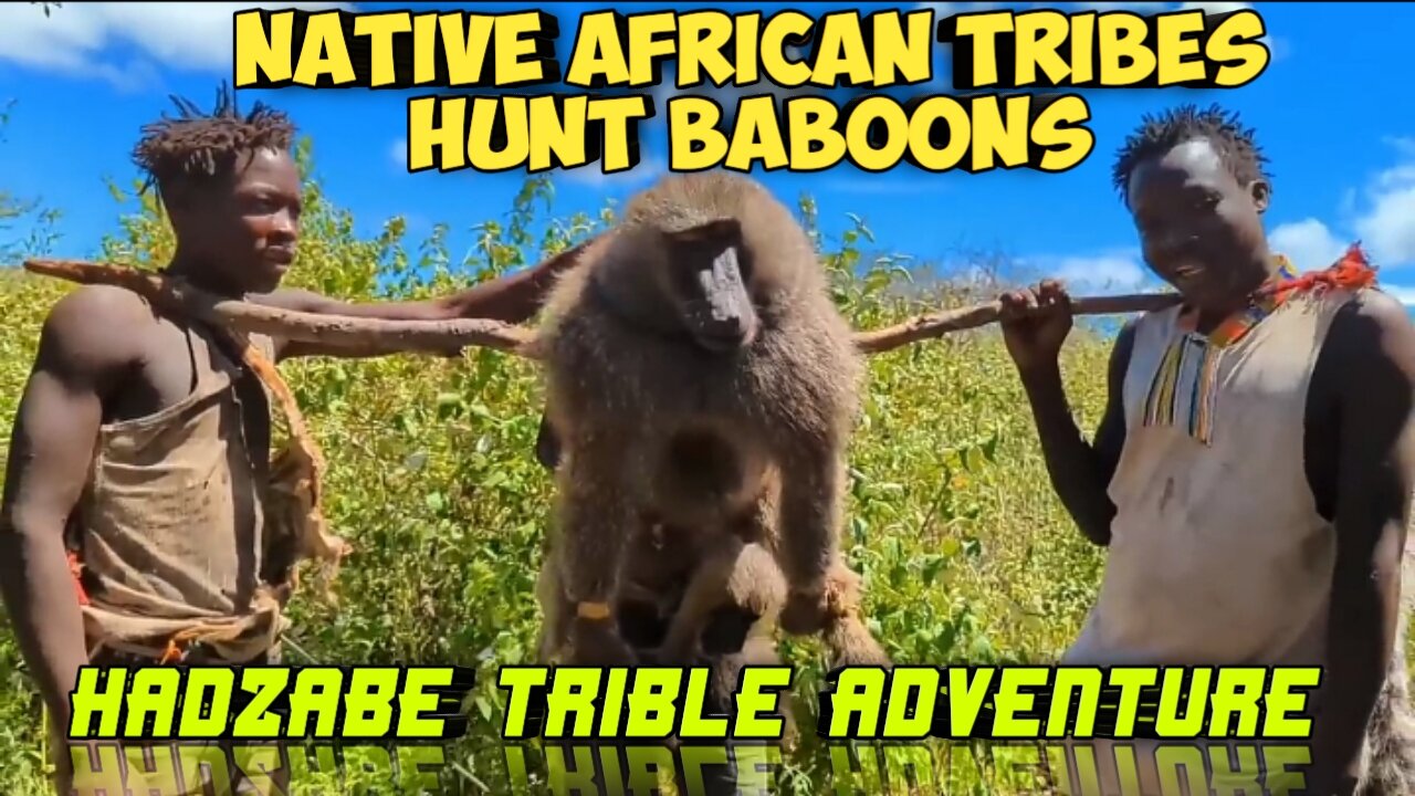 Native African tribes hunt baboons_hadzabe trible adventure