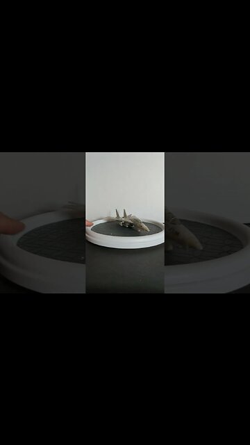 Transformers Top Gun Crossover Maverick! 2022 Reissue - Subscribe for full review coming soon!