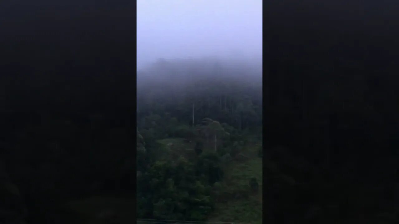 Enjoy the sounds of the Aussie birds in the early morning