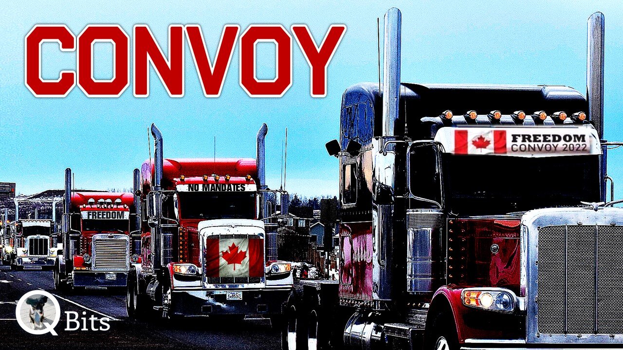 #511 // CONVOY - LIVE