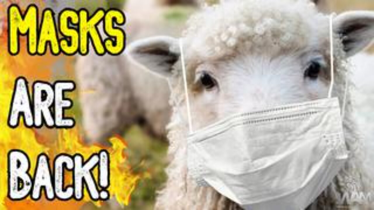 Masks Are Back! - Schools Force Masks On Kids As Biden Stumbles Around With A Muzzle