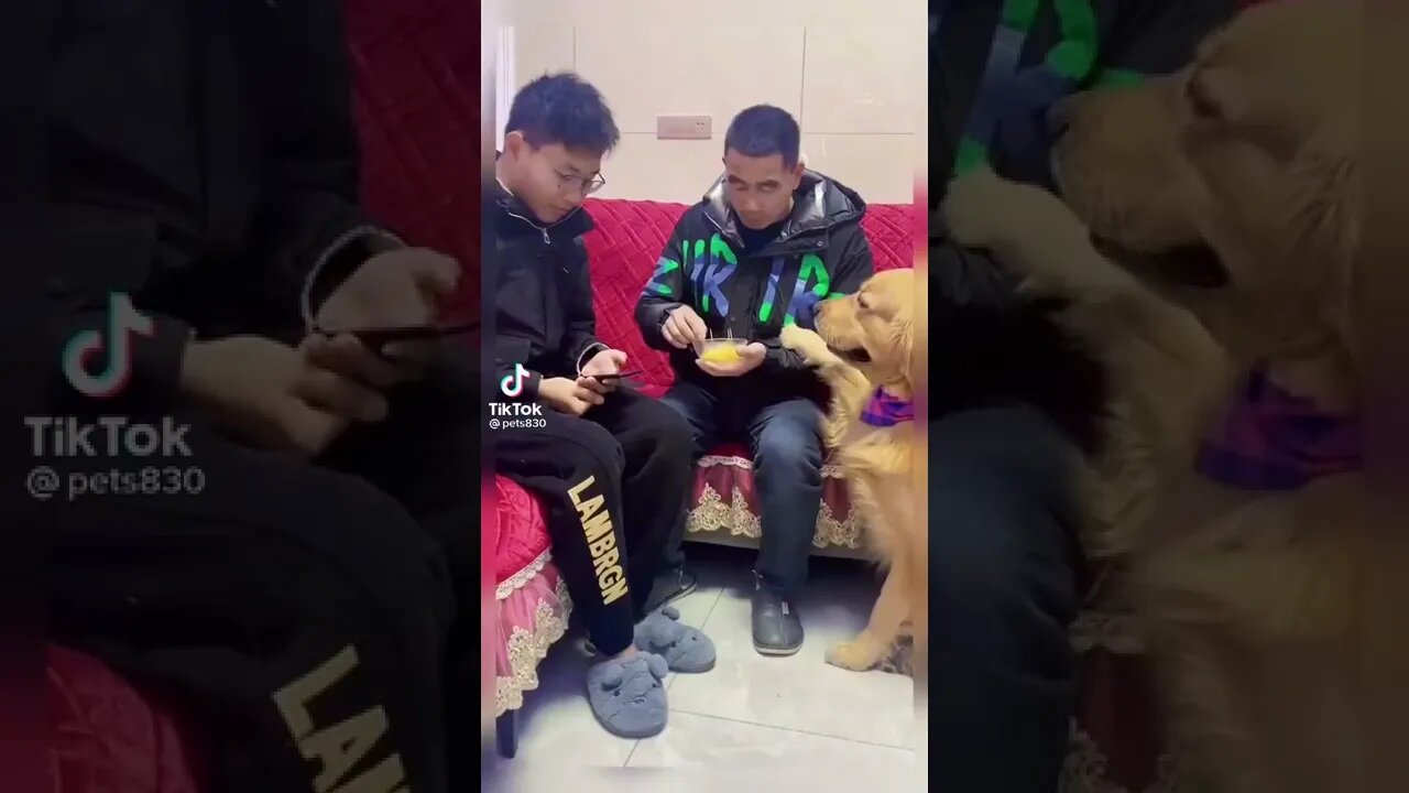 Funny video 🤣🤣