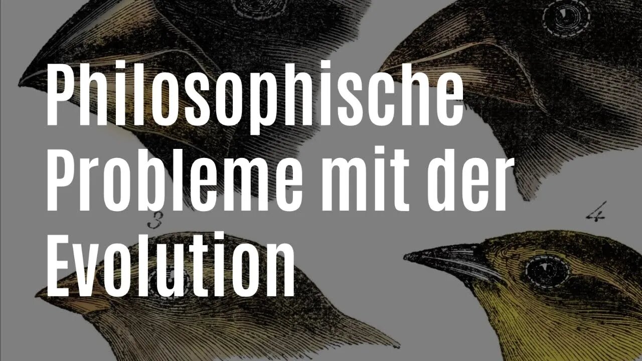 DZW, Episode 133: Philosophische Probleme mit der Evolution (Schöpfung, Kreationismus, Darwin)