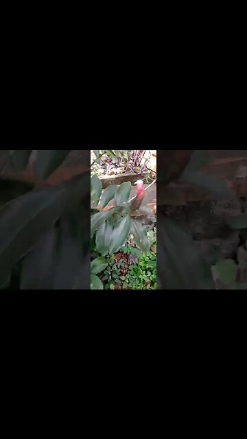 subscribe to my channel