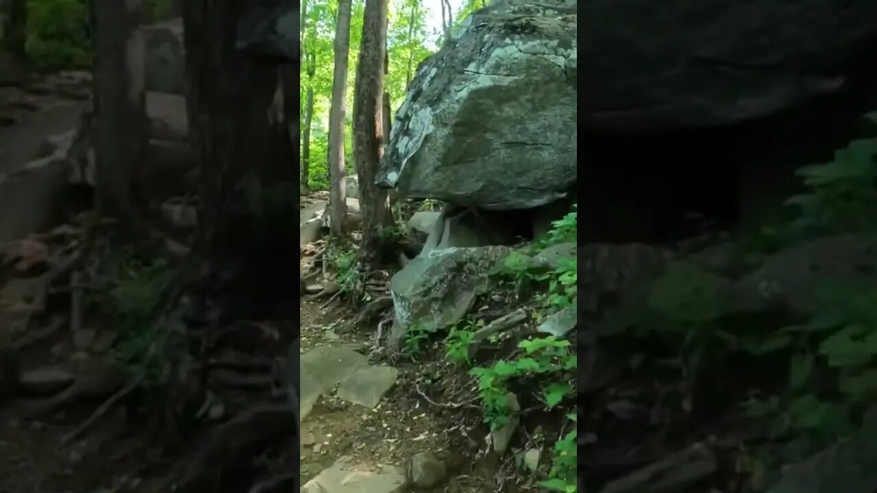 Hiking the rocky trail on Yonah Mountain in north Georgia!