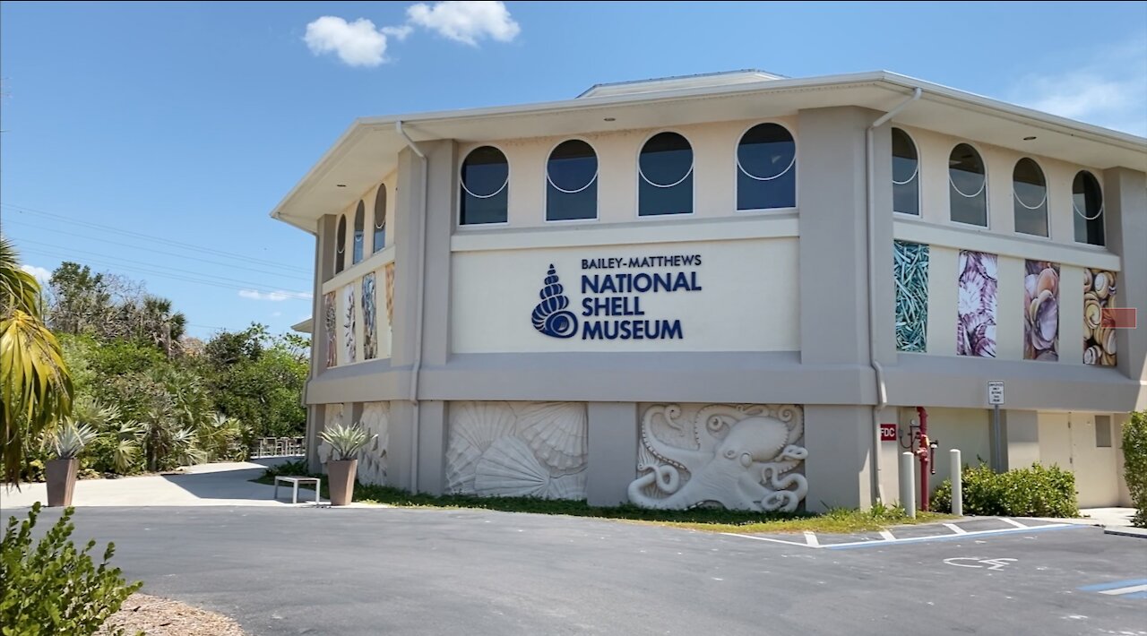 National Shell Museum - Sanibel, Florida