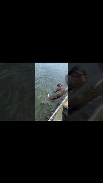 Do I get nervous to get into the water? #fishing