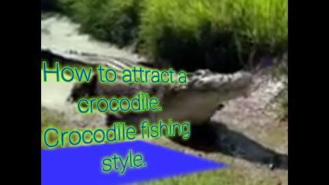 Crocodile fishing style. How to survive without a doubt.