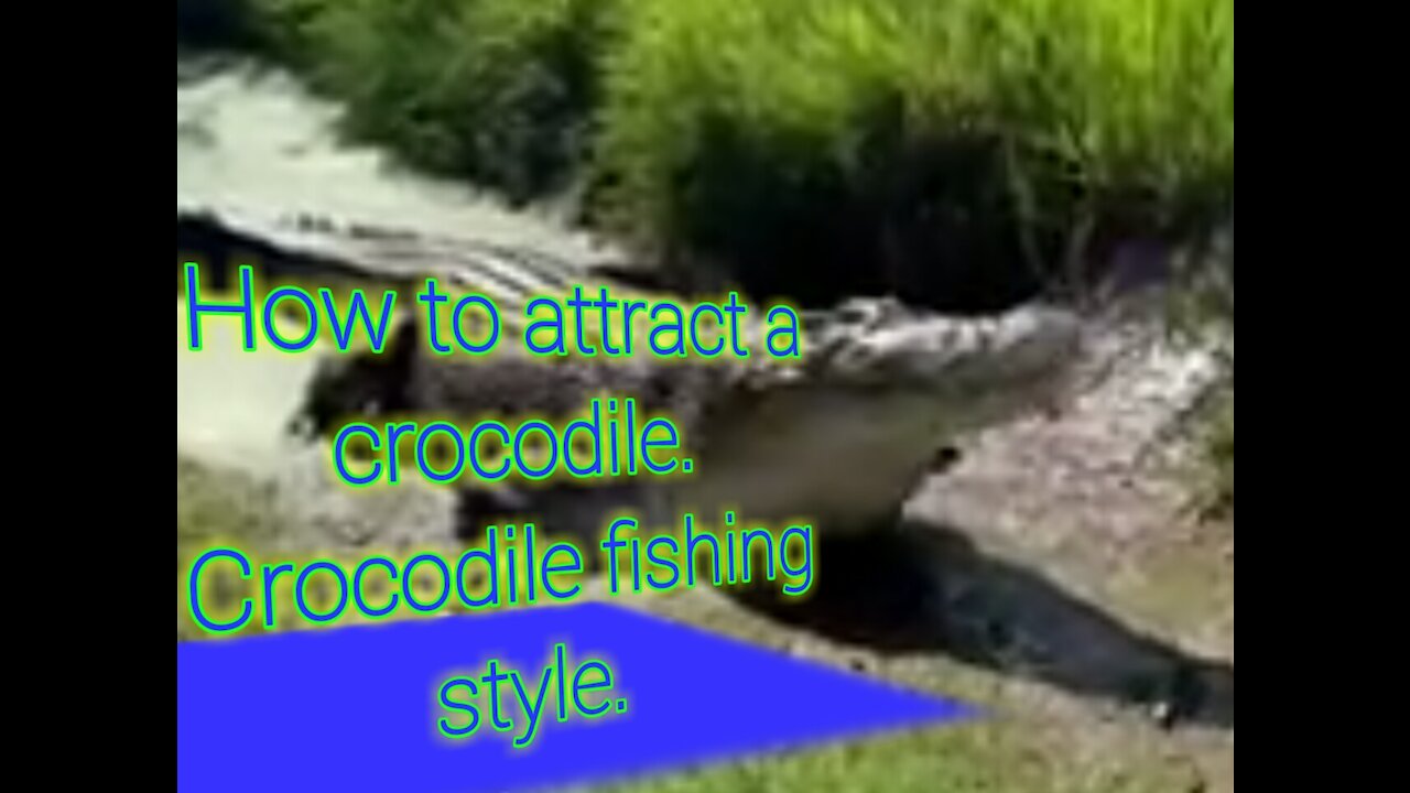 Crocodile fishing style. How to survive without a doubt.