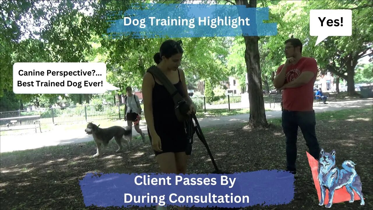 Best Trained Dog Ever! Previous Client Passes By During Consultation