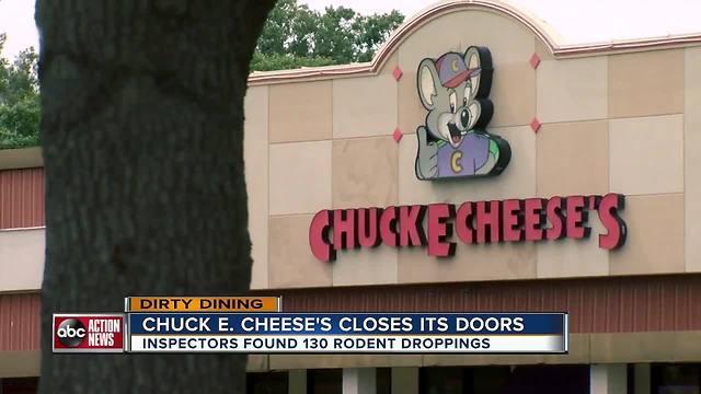 Dirty Dining: Chuck E. Cheese Pizza Time shut down after 130+ rodent droppings near food & drinks