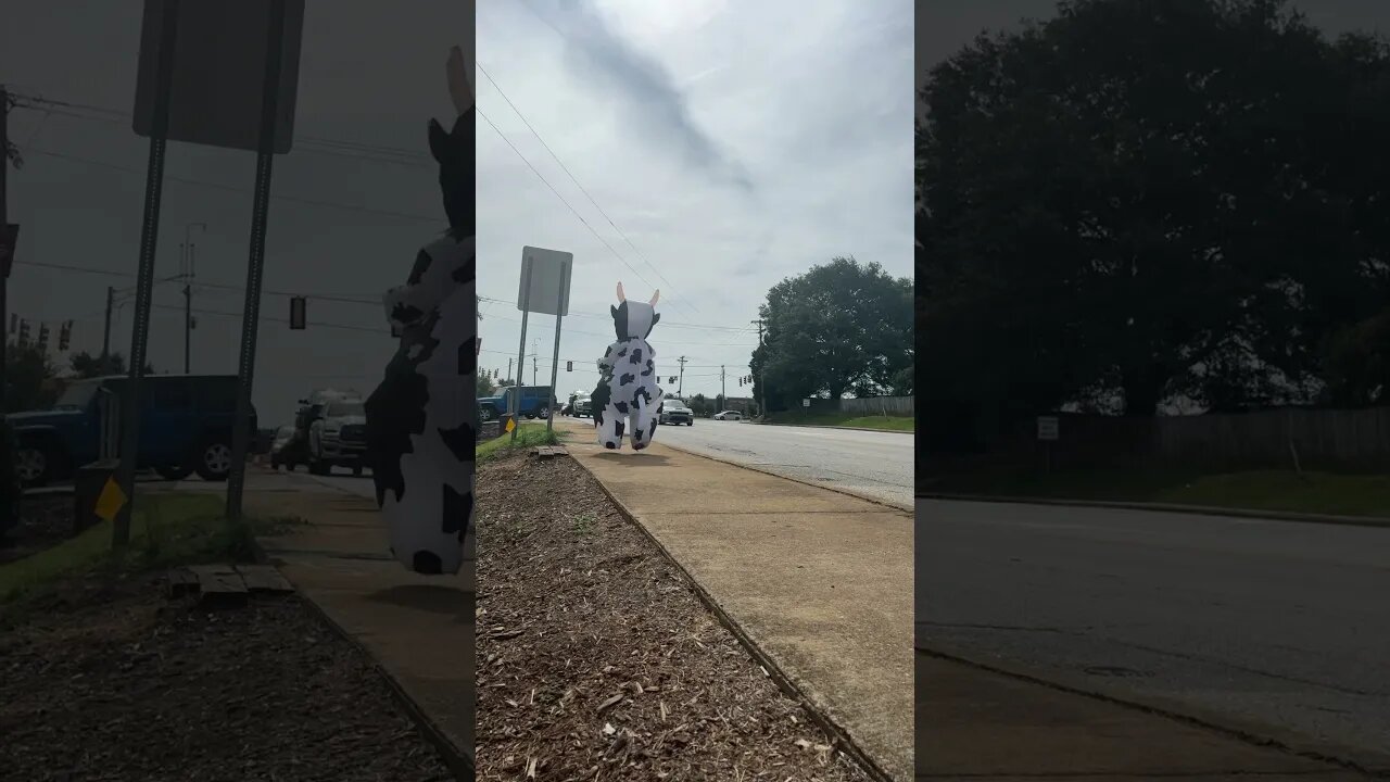 Dancing Downtown In An Inflatable Cow Costume!🐮😂 #fyp #fypシ