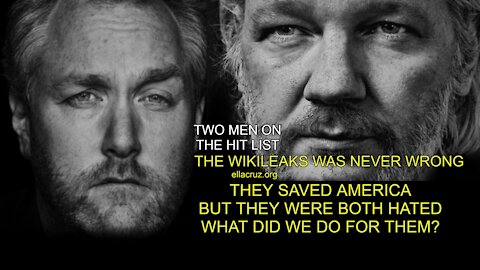 IT WAS THE WIKILEAKS