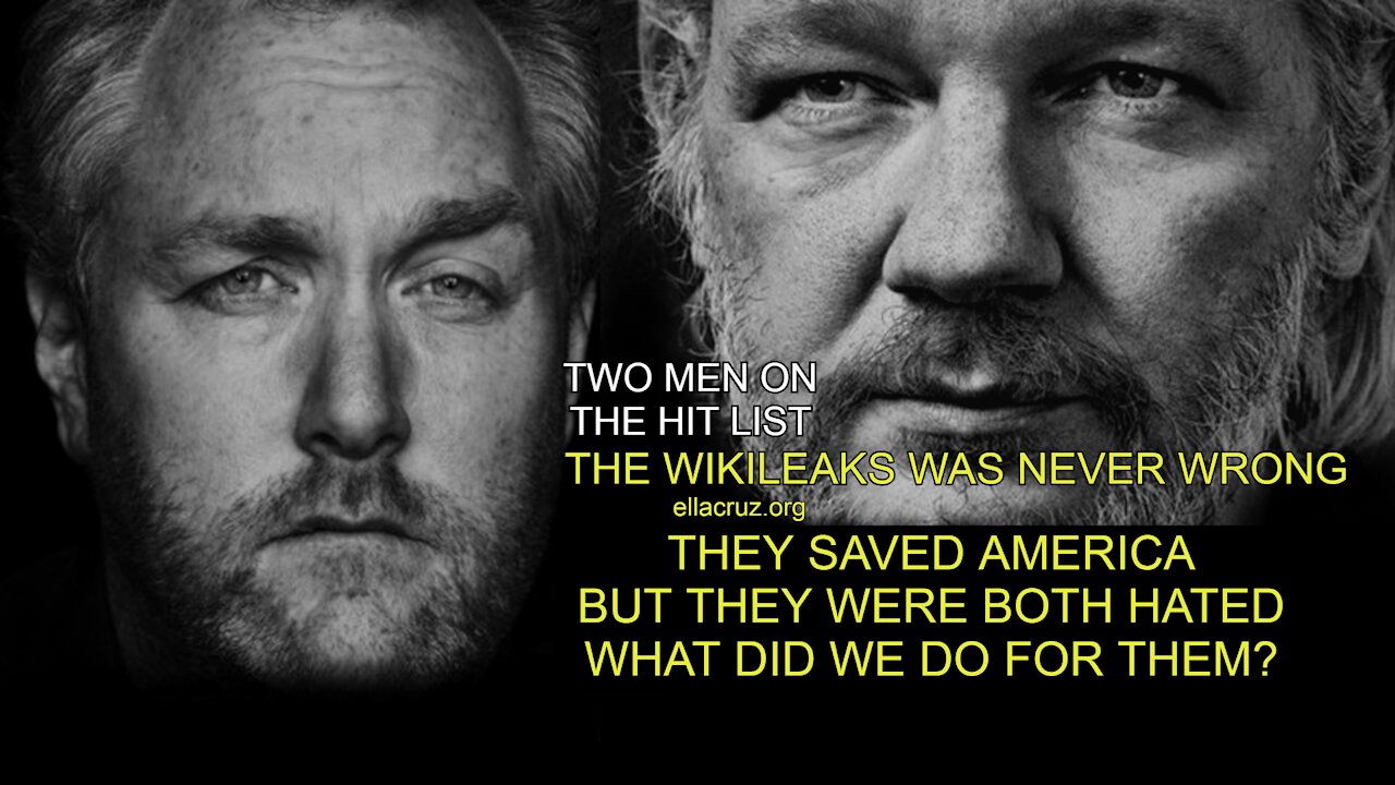 IT WAS THE WIKILEAKS