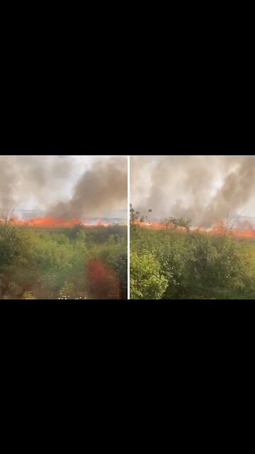 Large field fire comes dangerously close to railway line
