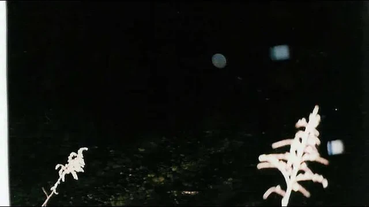 Do you know someone that has been abducted? Have you ever seen a real UFO?