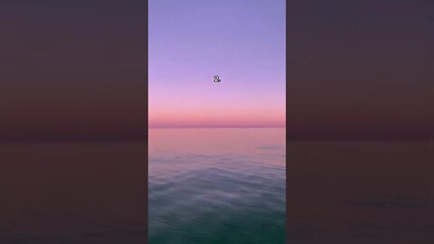 Which Sunset Do You Choose? Tiktok amyrosealexandra