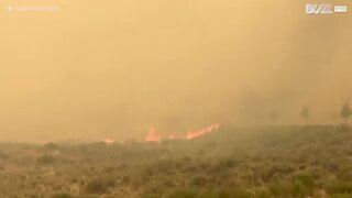 Un feu dévastateur brûle 10.000 hectares dans l'Utah