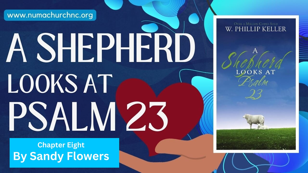 A Shepherd Looks at Psalms 23 | Chapter 8 | Sandy Flowers